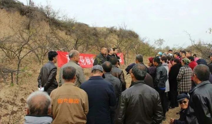 小丘,关庄寺沟,董河,淹池等乡镇尤其是孙塬镇全镇目前花椒保存面积近