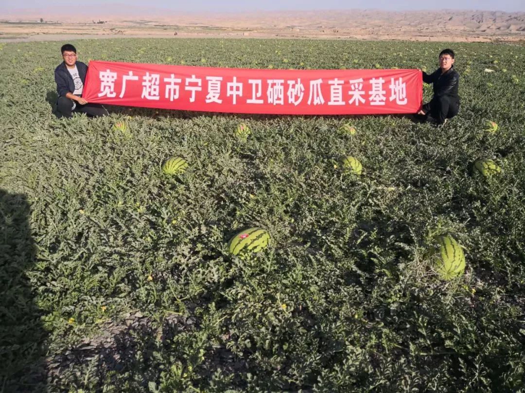 生长在荒滩戈壁上的西瓜宁夏中卫"硒砂瓜"宁夏硒砂瓜小宽今天要给大家