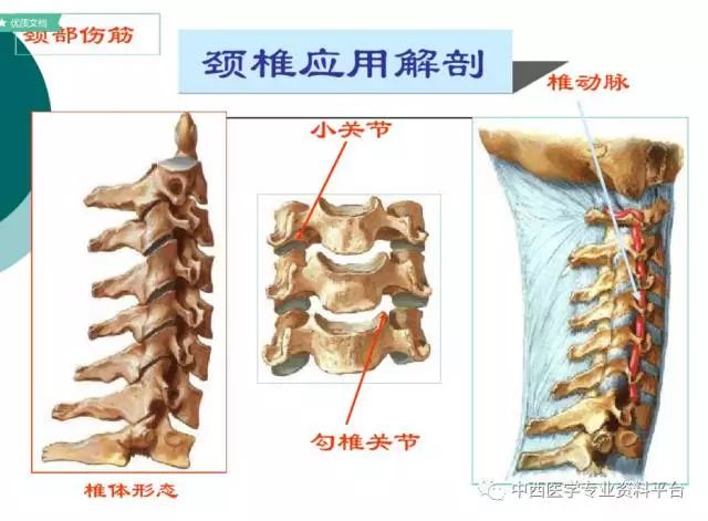 全套颈部筋伤上下合集