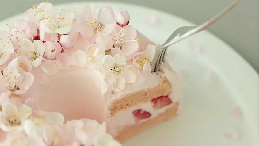 世界最美蛋糕,樱花雪纺蛋糕,超详细教程大公开!