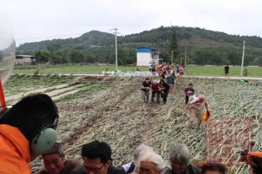 射洪农村人口_射洪城西中学图片(2)