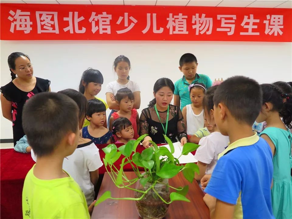 威客电竞童心绘花卉领略艺术美——青青育苗之植物写生小课堂(图2)