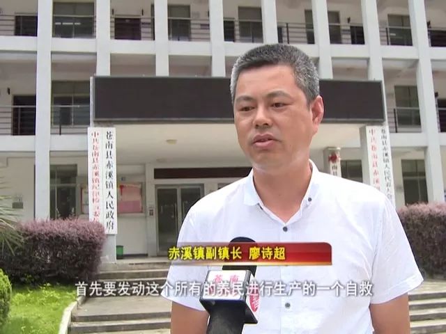 赤溪镇副镇长 廖诗超