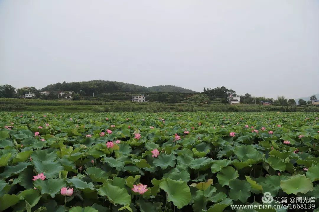 新宁清江桥美丽的乡村传说美在哪