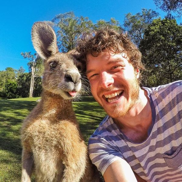 网红摄影师教你和澳洲小动物们互动自拍以后发朋友圈不怕没素材啦