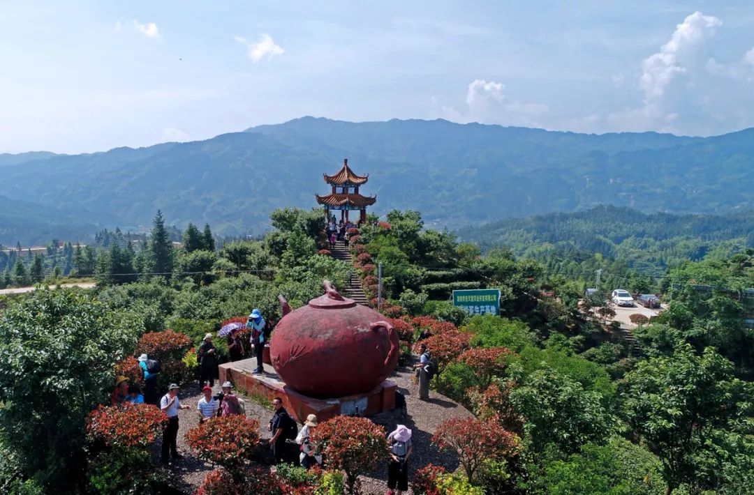 7桂东植物园桂东植物园是国家aaa级旅游景区,总面积3000亩,分核心园区