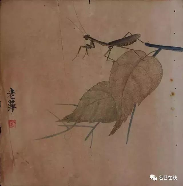 国画技法螳螂的工笔及写意画法附齐白石螳螂作品