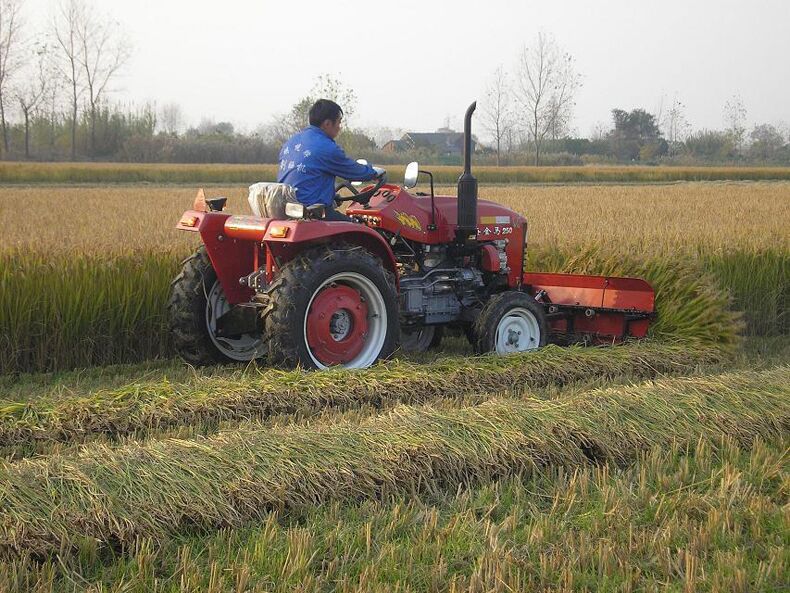 鋪放式油菜籽收割機 家用手扶大豆收割機 科技 第23張