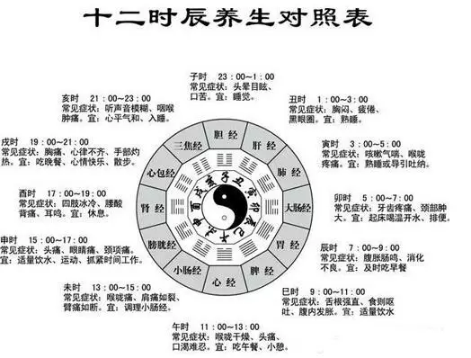 养生原理-子午流注养生之食疗辅助五脏排毒(五)