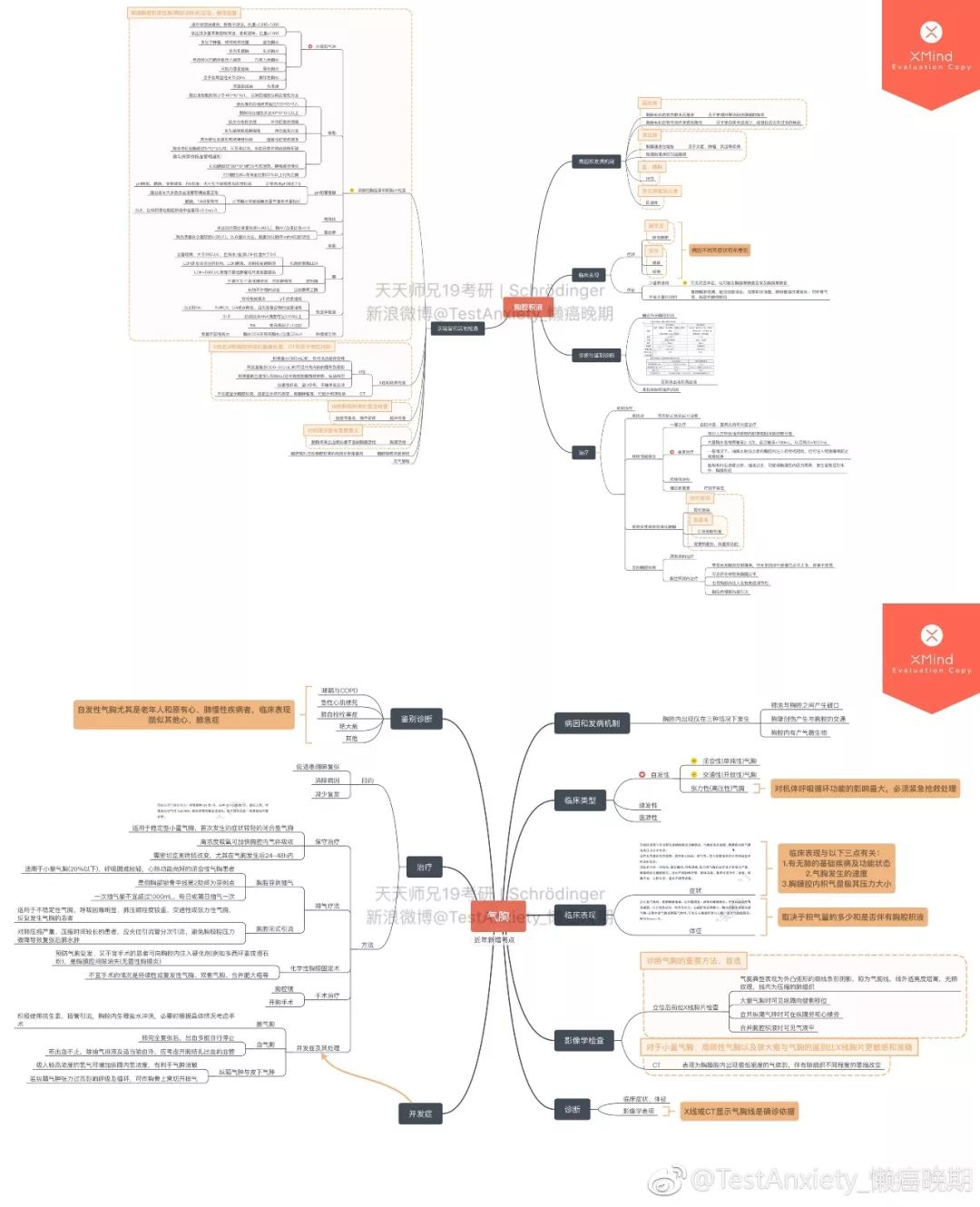 呼吸系统核心思维导图