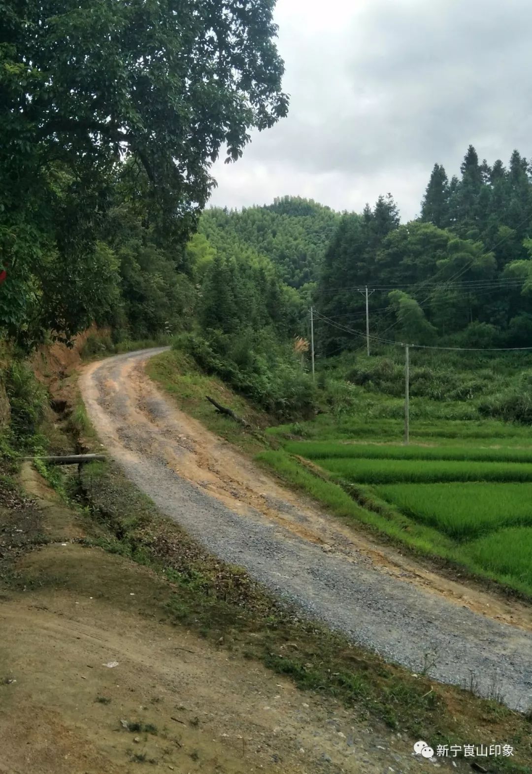 凸凹不平的山路(图)