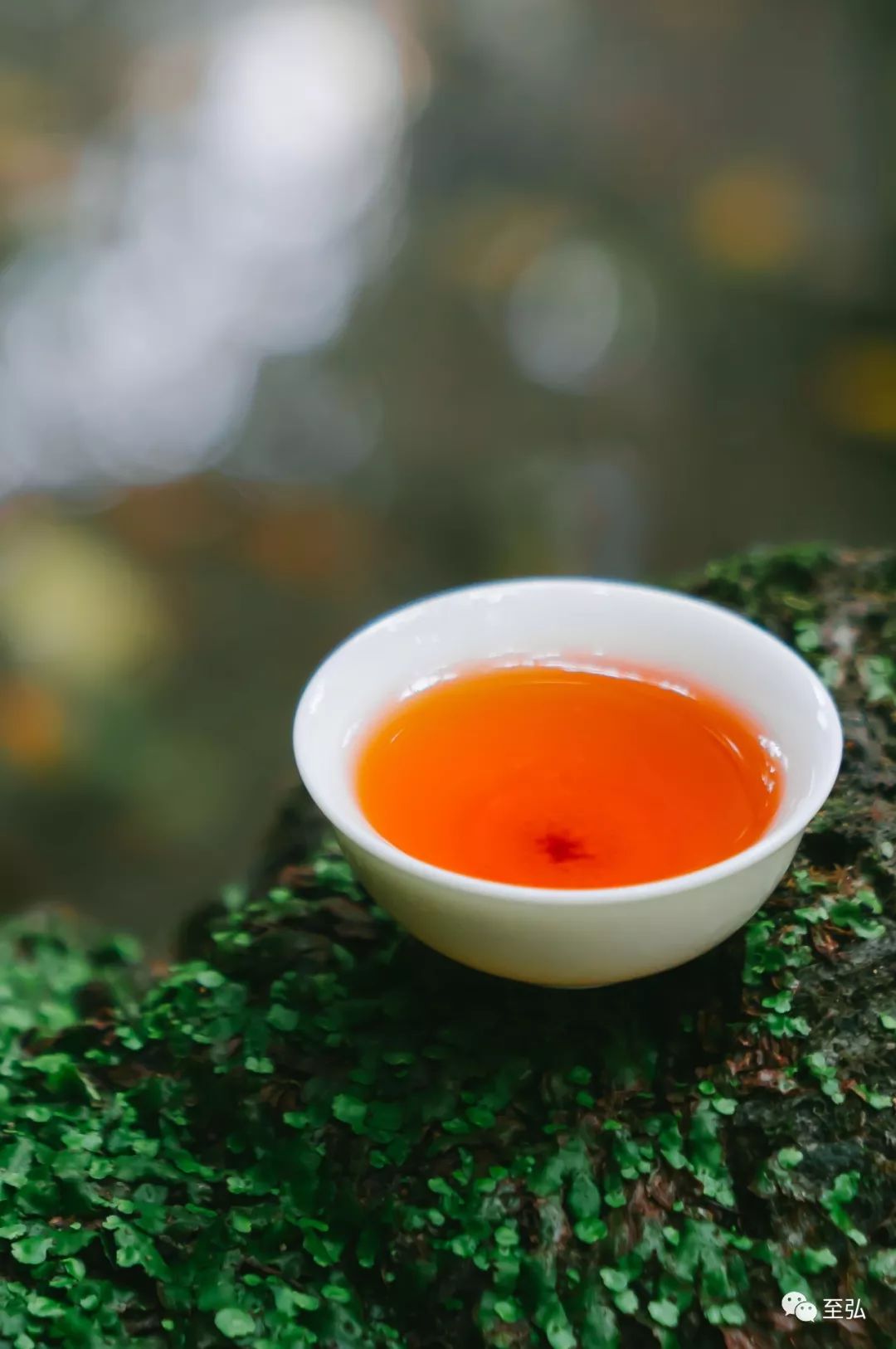 雨天宅家会友泡点什么茶好呢