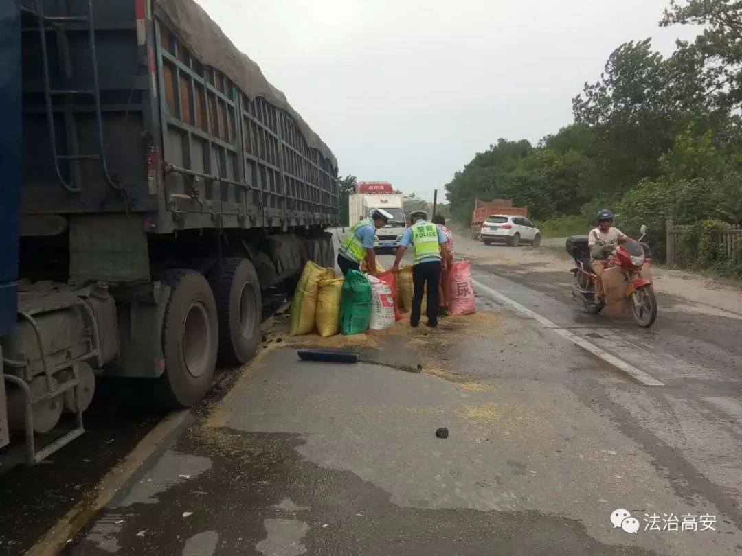 因发生事故之前,有另一辆农用车上装运的稻谷大量洒落在该段道路中央