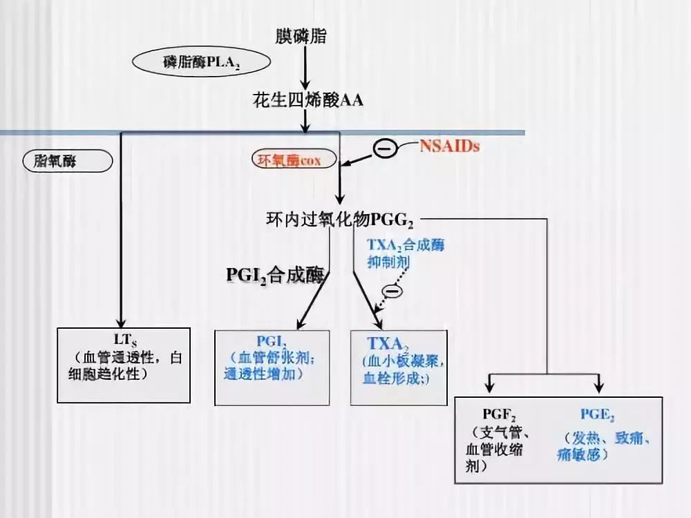 腰疼的不能动怎么办