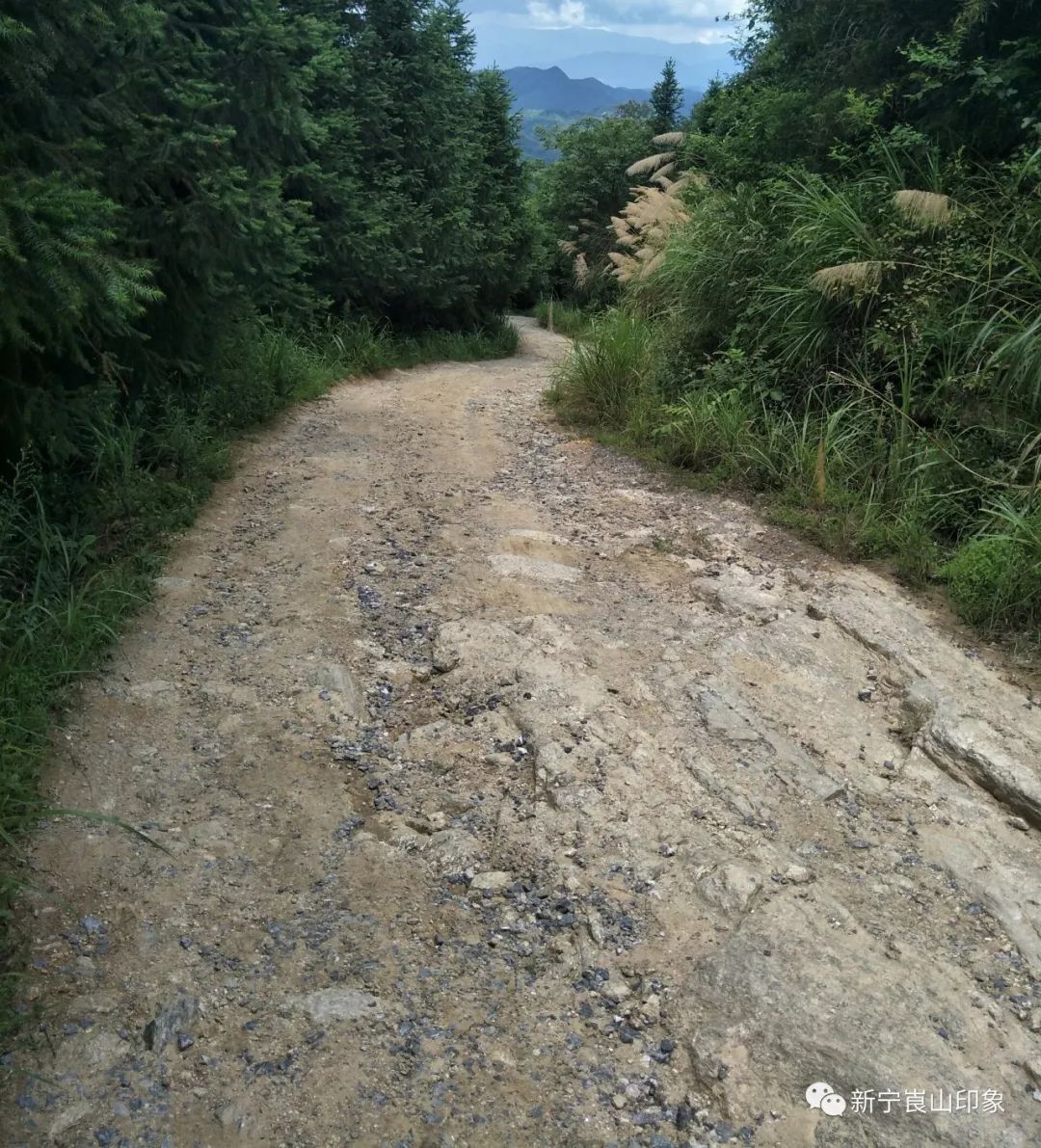 凸凹不平的山路(图)