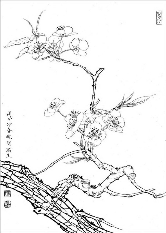 百花白描画稿,赶紧收藏了!