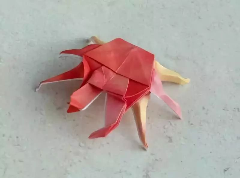 这样一个手工制作的折纸螃蟹就完成咯!