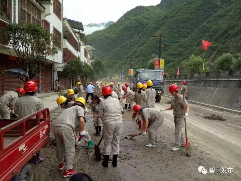 支部引领 党员带头 | 文县碧口镇社会各界开展抢险救灾"清污靓镇"行动