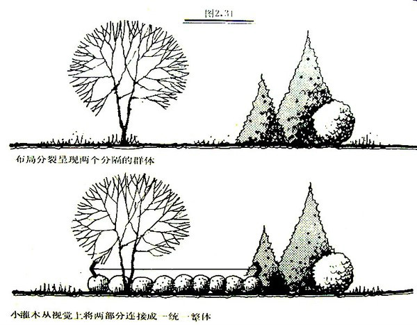 考虑植物种类的选择,树丛的组合,平面和立面的构图,色彩,季相以及园林