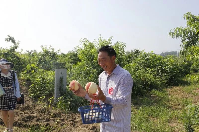 什么果飘香成语_成语故事图片