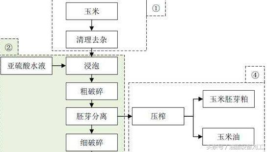 玉米榨油还是玉米胚芽榨油?傻傻分不清楚