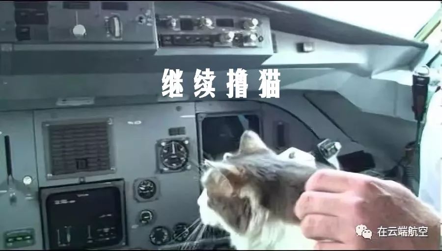 ils按照精度分为三个等级:cat i,cat ii,cat iii,其中cat iii又分为