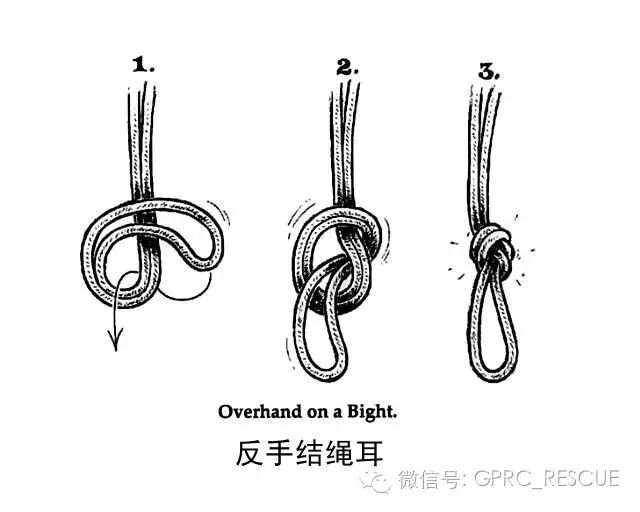 【一日一结】双重单结/反手结绳耳(overhand on a bight)