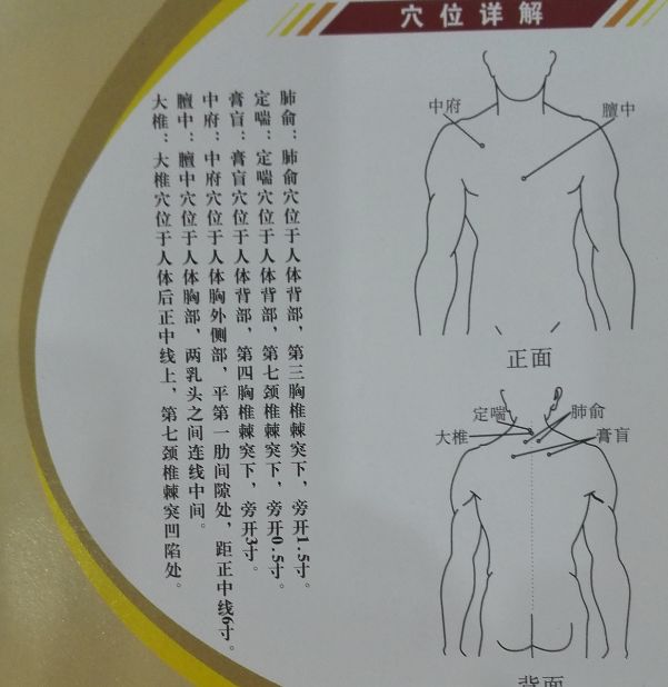 三伏贴基本穴位