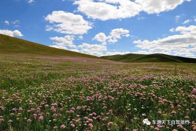‘南宫体育app最新官网下载’达达线内蒙古最美丽的草原天路，135公里的大美风光走廊！(图3)