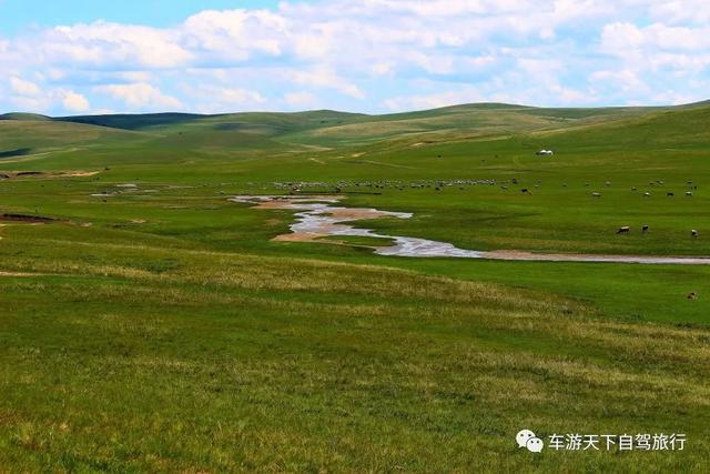 ‘南宫体育app最新官网下载’达达线内蒙古最美丽的草原天路，135公里的大美风光走廊！(图2)
