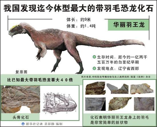 多亏世上的皮肤化石,霸王龙是否"毛茸茸"有了定论