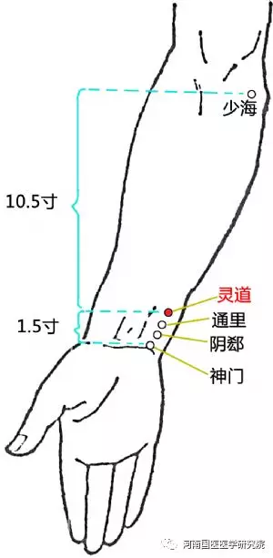 中医专长医师资格考试-灵道穴 主治宁心,安神,通络.