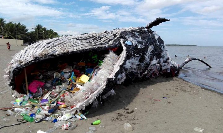 近年来,海洋生物因误食塑料垃圾而死亡的新闻更是屡见不鲜.