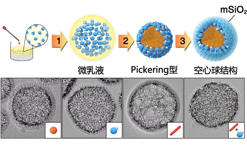 改进的微乳液自下而上自组装策略制备内壁嵌有纳米材料的空心球结构