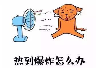 青岛最高35℃,湿 潮 闷热!你将有4笔防暑降温费!