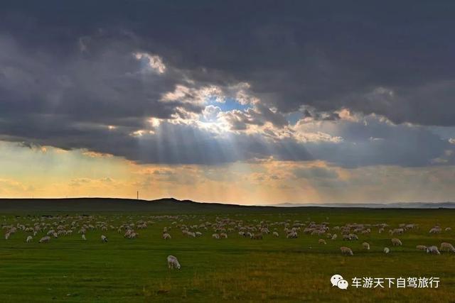 达达线内蒙古最美丽的草原天路，135公里的大美风光走廊！-半岛官方下载入口(图5)