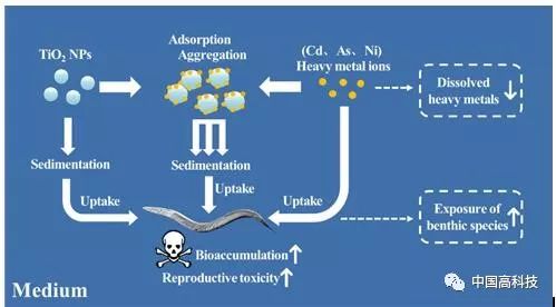 前沿科技 | 中科院科学家在纳米二氧化钛联合重金属的
