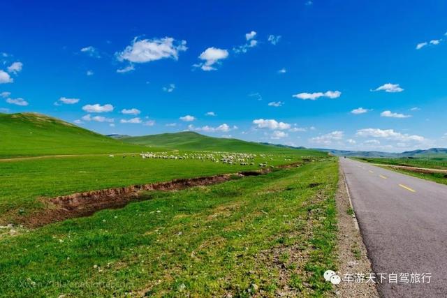 达达线内蒙古最美丽的草原天路，135公里的大美风光走廊！‘pg娱乐电子游戏官网A
