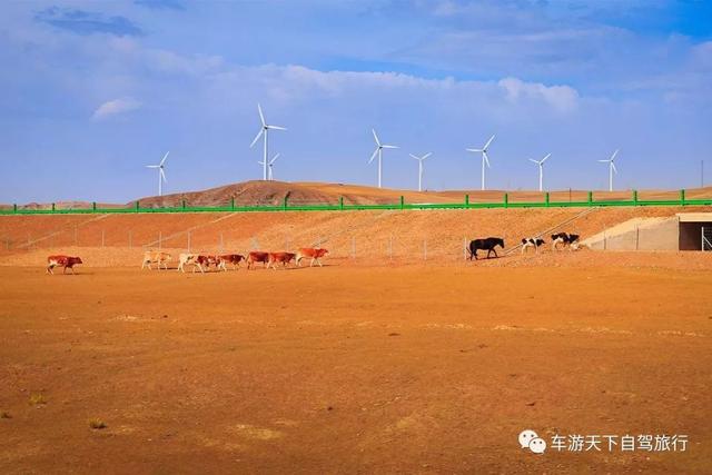 达达线内蒙古最美丽的草原天路，135公里的大美风光走廊！-半岛官方下载入口(图8)