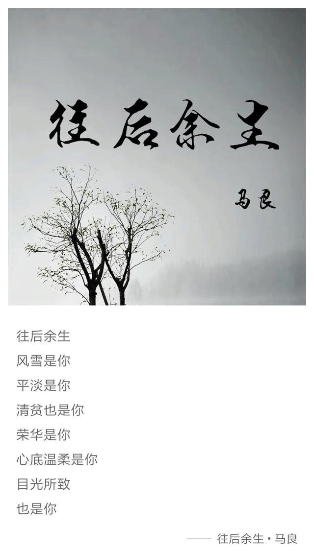 要说这个夏天最热门的歌曲, 《往后余生》必定是其中之一了.