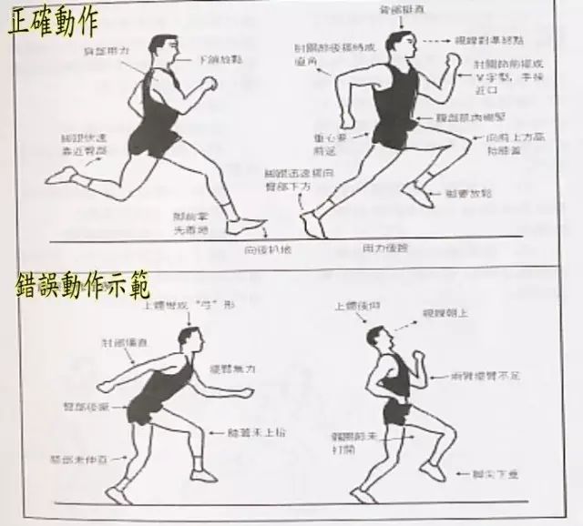 2,跑步时臂和手的最佳姿势  手要微微握住,大小臂屈成约90度,前后