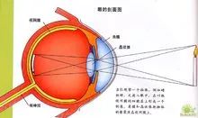 科普：眼球成像！的图2