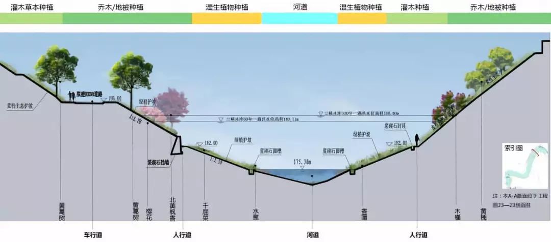 07 河道植物种植断面图