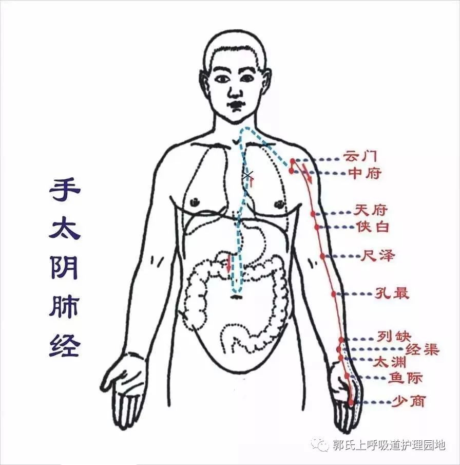 肺受寒怎么办