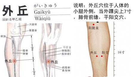 外丘穴位置图和功效作用