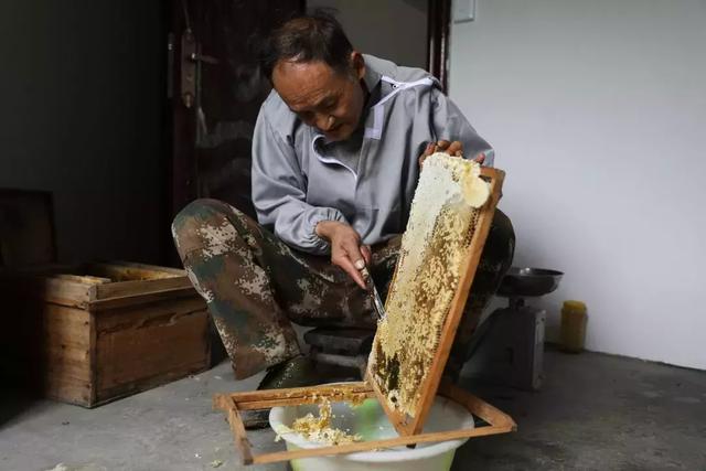 「周老虎」變身「周蜜蜂」：周正龍開淘寶店，要帶貧困戶養蜂脫貧 科技 第14張