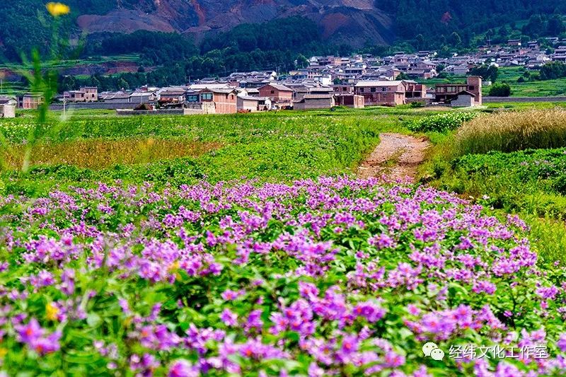 鹤庆马厂村:在高山深处花儿一样静谧绽放的幸福村庄