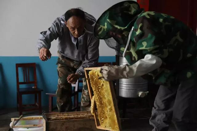 「周老虎」變身「周蜜蜂」：周正龍開淘寶店，要帶貧困戶養蜂脫貧 科技 第17張