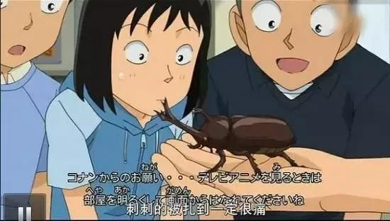 经常在柯南中出现的独角仙是日本孩子们最常捕捉的昆虫之一.