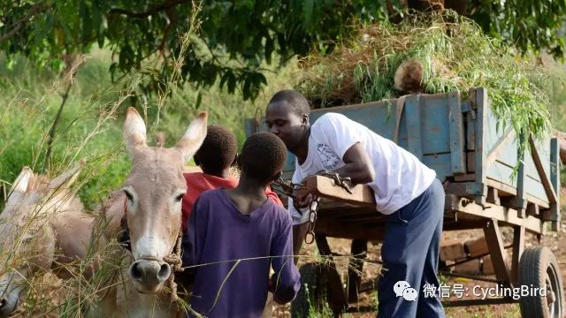 骑行非洲纪录片-08|马里,迎接我的不是战乱而是微笑